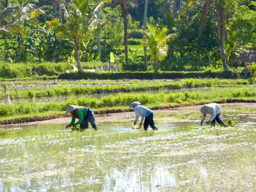 Villa Agung Khalia Ubud  Phòng bức ảnh
